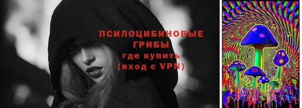PSILOCYBIN Аркадак