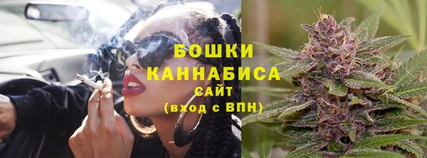 PSILOCYBIN Аркадак